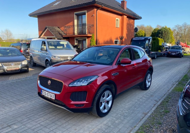 jaguar